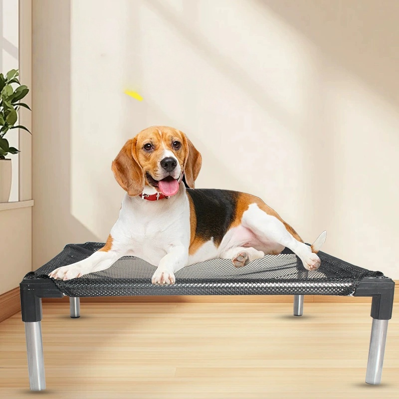 Cama para perros elevada con e - Outdoor Daybed Sofa reseña y precio